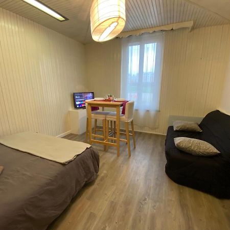 Les Coquelicots Wifi Apartment Troyes Exterior foto